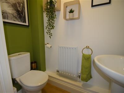 Picture 5